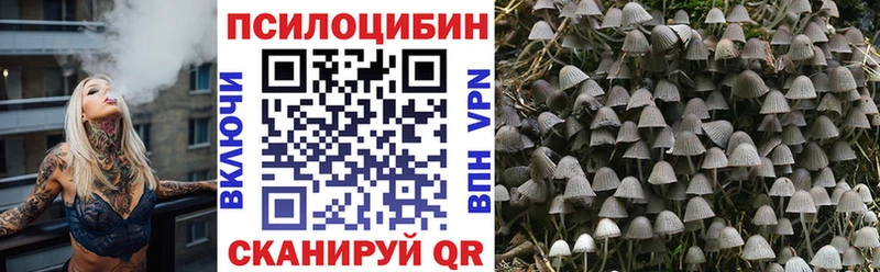 Галлюциногенные грибы мухоморы  Пустошка 